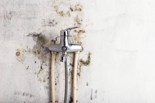 Best Mold Remediation  in Crooksville, OH