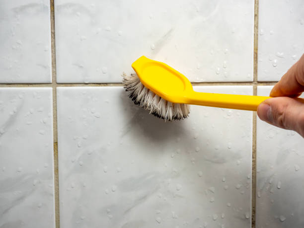 Best Office Mold Removal Services  in Crooksville, OH