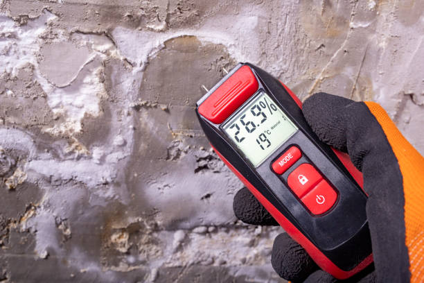 Best Fast Mold Removal  in Crooksville, OH