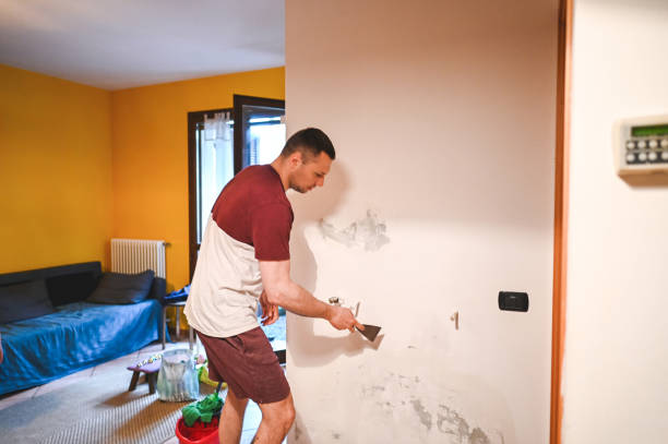 Best Toxic Mold Removal  in Crooksville, OH